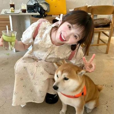 铁血七壮士