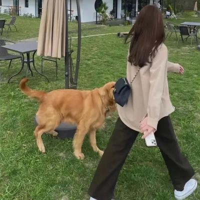 断箭